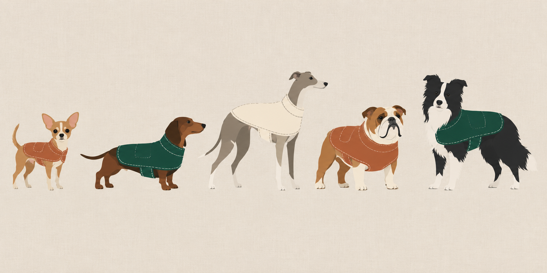 Cinq silhouettes de chiens de races différentes, chacun dans un manteau cousu